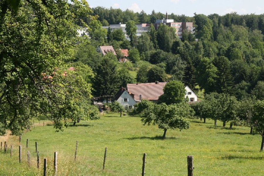 Blick über die Streuobstwiese auf den Alten Kohlhof im Grünen
